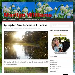 Spring-Fed Dam becomes a little lake always different – Marilyn Williams