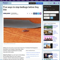 Five ways to stop bedbugs before they bite