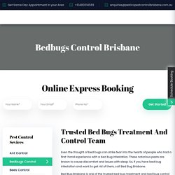 Pestico Pest Control Brisbane provides Bed Bugs Removal service Across Brisbane