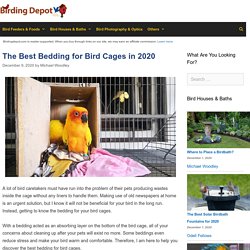 10 Best Bedding for Bird Cages Reviewed and Rated in 2020