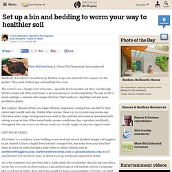 Set up a bin and bedding to worm your way to healthier soil