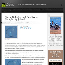 Stars, Bubbles and Beehives – Complexity Joined