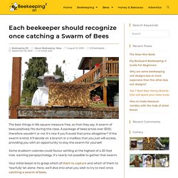 Each beekeeper should recognize once catching a Swarm of Bees - Beekeeping201