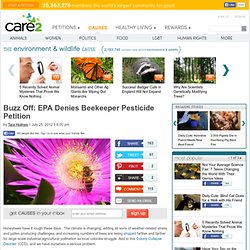 Buzz Off: EPA Denies Beekeeper Pesticide Petition