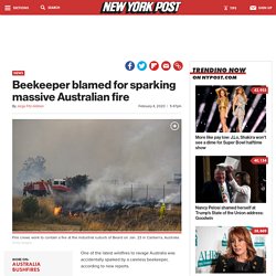 Beekeeper blamed for sparking massive Australian fire