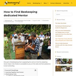 How to Find Beekeeping dedicated Mentor - Beekeeping201