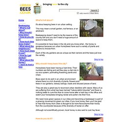 Beekeeping in cities