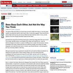 Bees Buzz Each Other, but Not the Way You Think