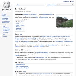 Beetle bank