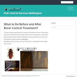 What to Do Before and After Borer Control Treatment?