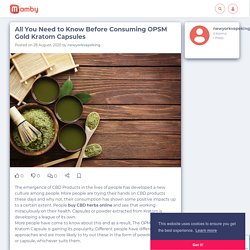 All You Need to Know Before Consuming OPSM Gold Kratom Capsules - Mamby