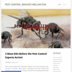 3 Must-DOs Before the Pest Control Experts Arrive!