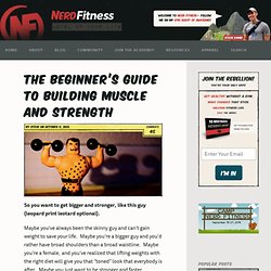 The Beginner's Guide to Building Muscle and Strength