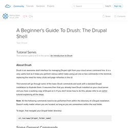 A Beginner's Guide To Drush: The Drupal Shell
