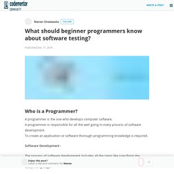 What should beginner programmers know about software testing?