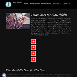 How Much does a Beginner Violin Lesson Cost - Violin Class for Kids - Spiccatohomeofmusic