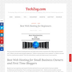 information best web hosting for small business