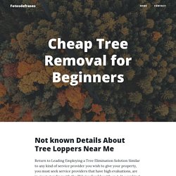 Cheap Tree Removal for Beginners
