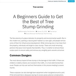 A Beginners Guide to Get the Best of Tree Stump Grinding