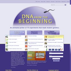 DNA from the Beginning - An animated primer of 75 experiments that made modern genetics.