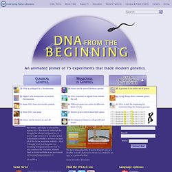 DNA from the Beginning -animated experiments