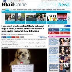 Badly behaved dogs named, shamed and made to wear a sign saying just what they did wrong