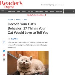 Cat Behavior: What Does Your Cat Want? □