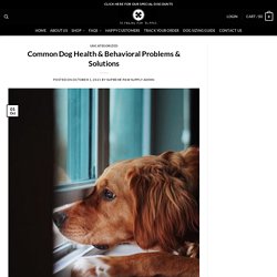 Common Dog Health & Behavioral Problems And Solutions