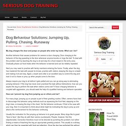 Dog Behaviour Solutions: Jumping Up, Pulling, Chasing, Runaway