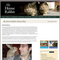 My House Rabbit's Bunny Blog