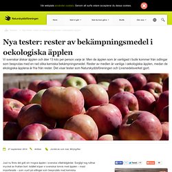 Nya tester: rester av bekämpningsmedel i oekologiska äpplen