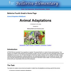 Bellerive Fourth Grade's Web Page - Animal Adaptation WebQuest