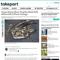 Ocean Horror Show: Dead Sea Birds With Bellies Full of Plastic Garbage