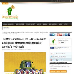 The Monsanto Menace: The feds see no evil as a belligerent strongman seeks control of America’s food supply