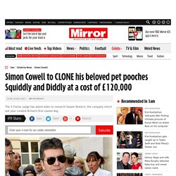 Simon Cowell to CLONE his beloved pet pooches Squiddly and Diddly at a cost of £120,000