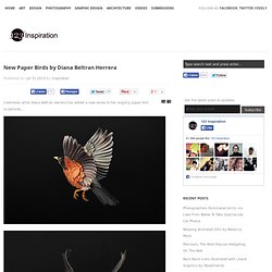 New Paper Birds by Diana Beltran Herrera