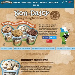 Ben & Jerry's Non-Dairy Flavors