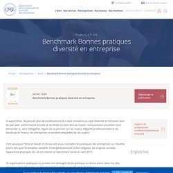 Benchmark Bonnes pratiques diversité en entreprise - Orse.org