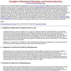 Examples of Beneficial Mutations and Natural Selection