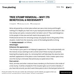TREE STUMP REMOVAL – WHY ITS BENEFICIAL & NECESSARY?