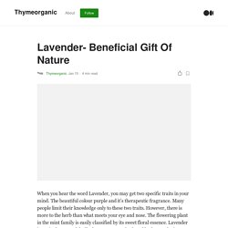 Lavender- Beneficial Gift Of Nature
