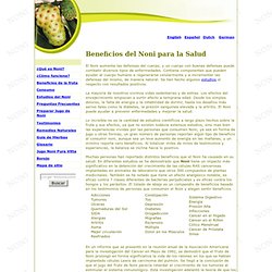 Beneficios del Noni