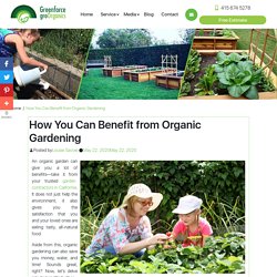 How You Can Benefit from Organic Gardening