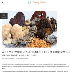 Benefit from Medicinal Mushroom - Dr. Rhea Mehta