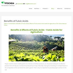 Purchase Reliable Fulvic Acids for Agriculture (Ácidos fulvicos para la agricultura)