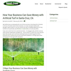 Money-Saving Benefits of Artificial Turf for Santa Cruz, CA Businesses