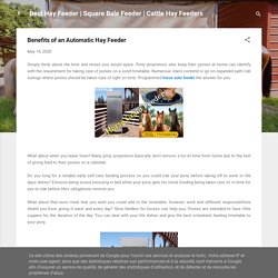 Benefits of an Automatic Hay Feeder