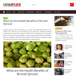 What are the Health Benefits of Brussel Sprouts (6 Steps)