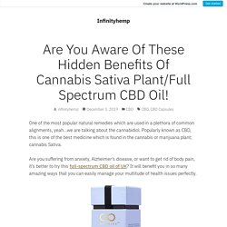 Are You Aware Of These Hidden Benefits Of Cannabis Sativa Plant/Full Spectrum CBD Oil! – Infinityhemp