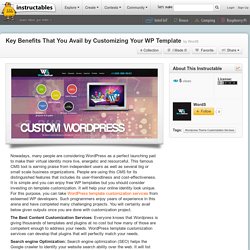 Customizing Your WP Template Can Help Avail Key Benefits